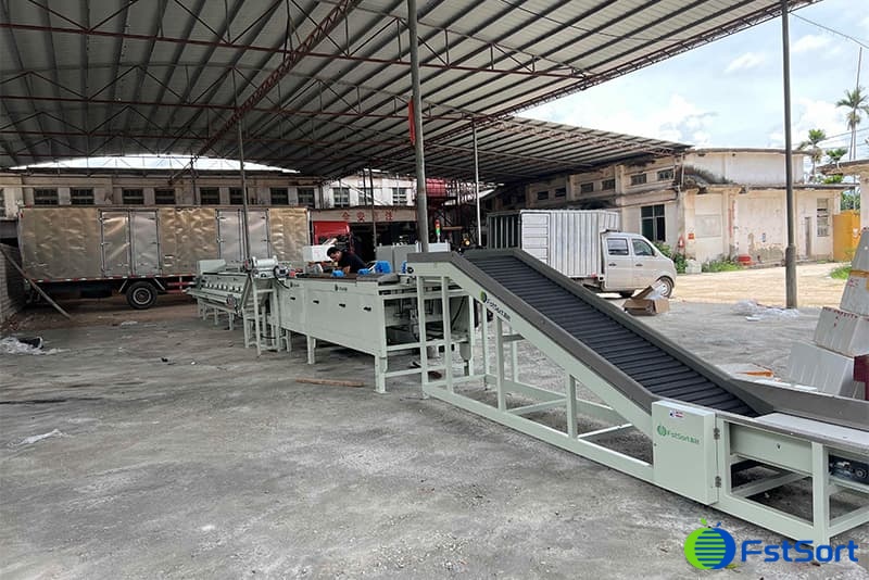 passion fruit sorting grading line.jpg passion fruit sorting grading line.jpg